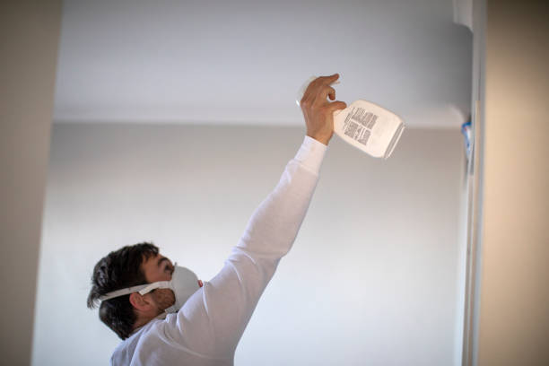 Best Mold Remediation for Specific Building Types in Ione, CA