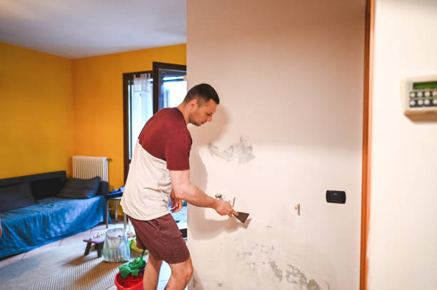 Best HVAC Mold Remediation in Ione, CA